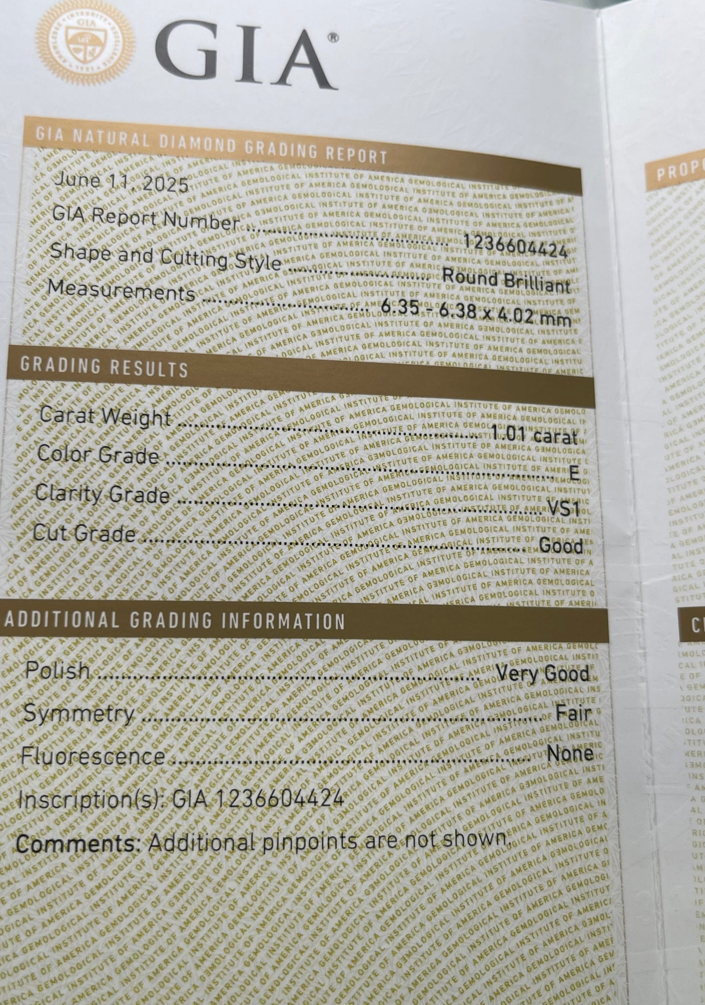 GIA 1.01 Carat Round Brilliant Diamond E VS1 Good Cut Very Good Polish