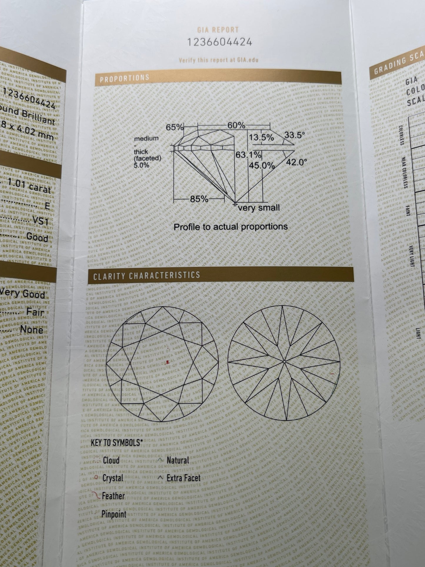 GIA 1.01 Carat Round Brilliant Diamond E VS1 Good Cut Very Good Polish