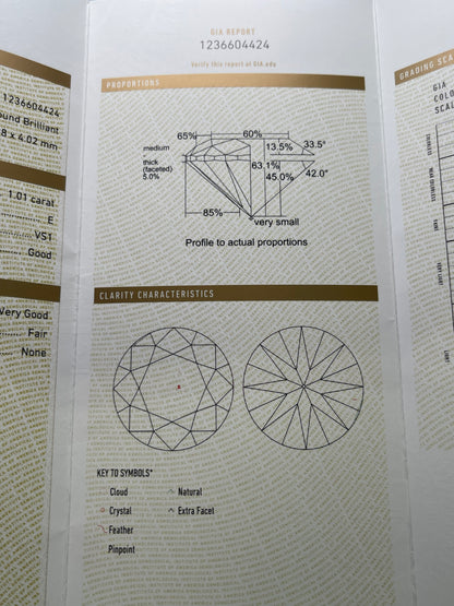 GIA 1.01 Carat Round Brilliant Diamond E VS1 Good Cut Very Good Polish